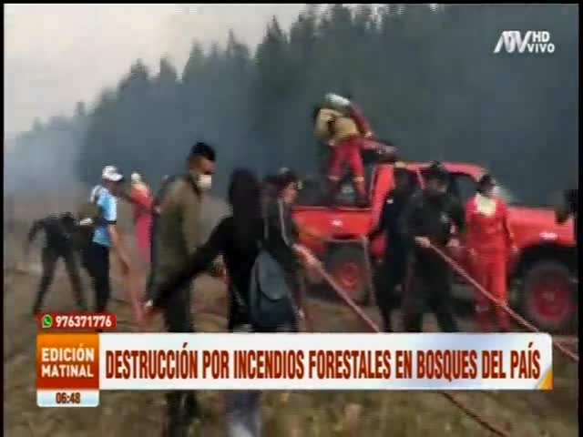 Destrucción por incendios forestales en bosques del país