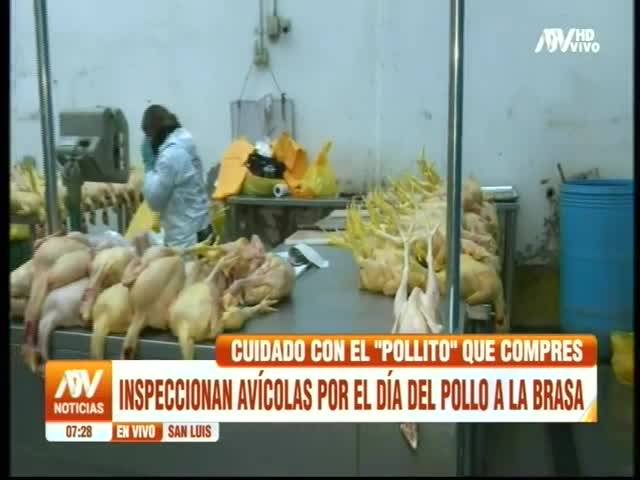 Operativo de inspección a avícolas en San Luis