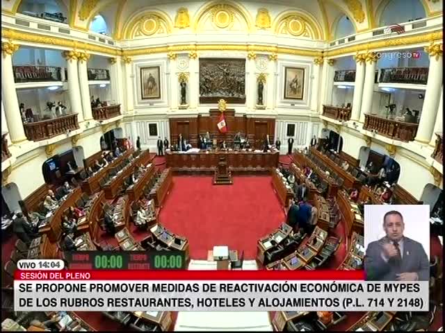 Sesión del Pleno (Parte 5)