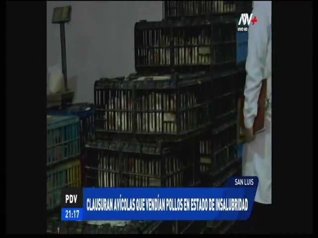 Clausuran avícolas que vendían pollos en estado de insalubridad