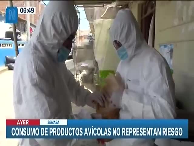 Consumo de productos avícolas no presenta riesgo