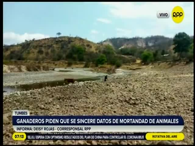 Ganaderos piden que se sincere datos de mortandad de animales 