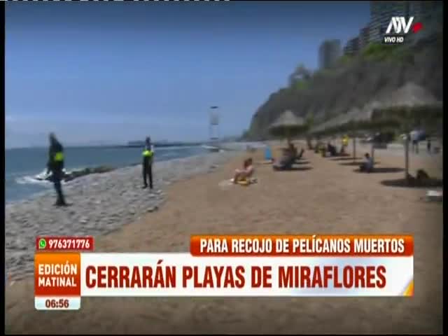 Cierran playa de Miraflores por gripe aviar