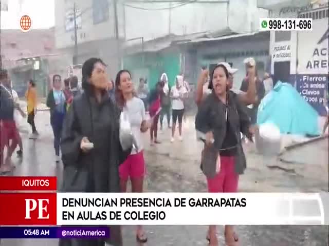 Denuncian presencia de garrapatas en aulas de colegio