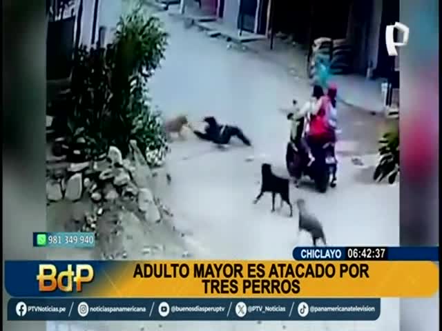 Adulto mayor es atacado por tres perros