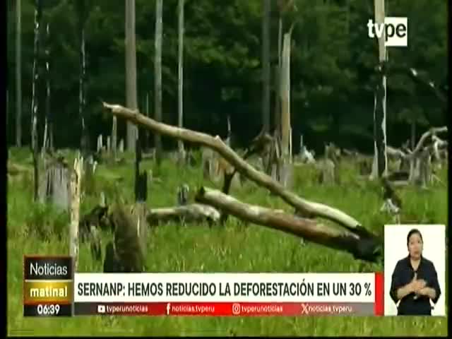 SERNAMP: Hemos reducido la deforestación en un 30%