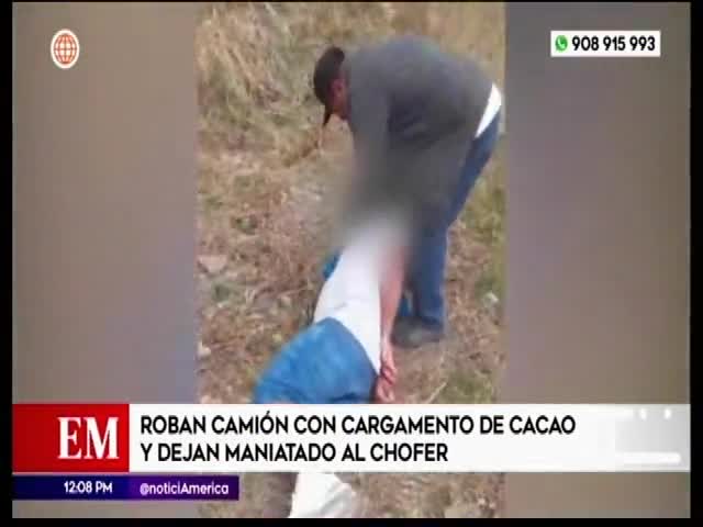 Roban 16 toneladas de cacao en asalto y dejan maniatado a chofer